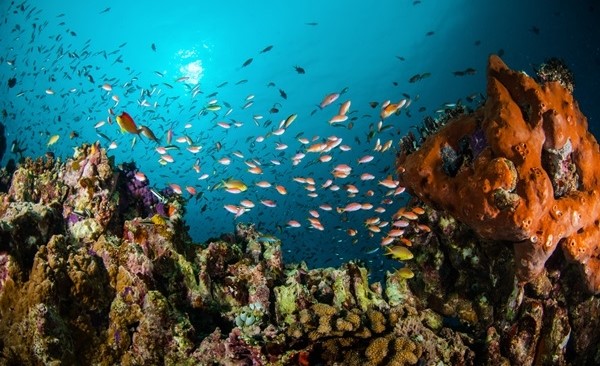 Explore Lombok Beach 9 Days / 8 Night