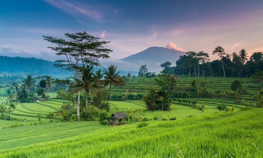 BALI DISCOVERY 12 DAYS / 11 NIGHTS